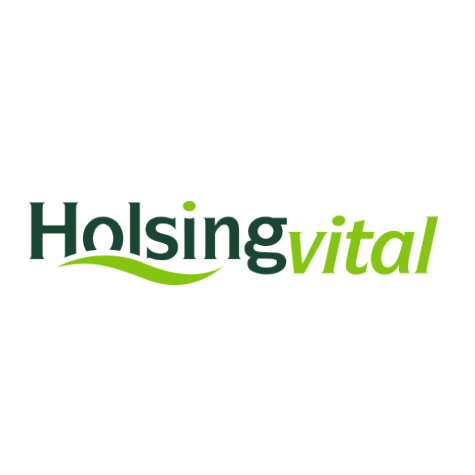 holsing-457x475-1